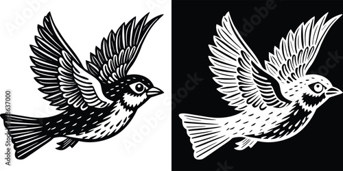 Black and white sketch of birds flying in different directions, representing the fluidity of nature's creatures