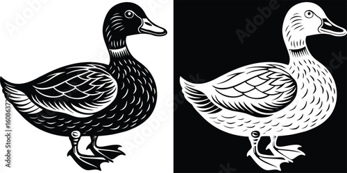 A refined black and white drawing of two ducks swimming side by side, capturing the serene and peaceful nature of these waterfowl