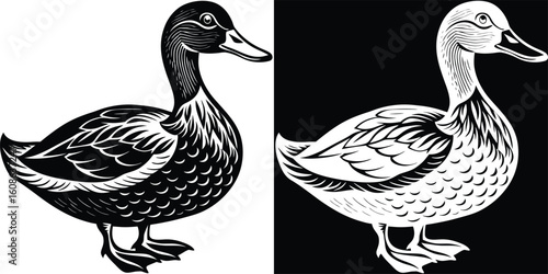 A stunning black and white portrayal of two ducks, emphasizing their feather patterns and tranquil water movements