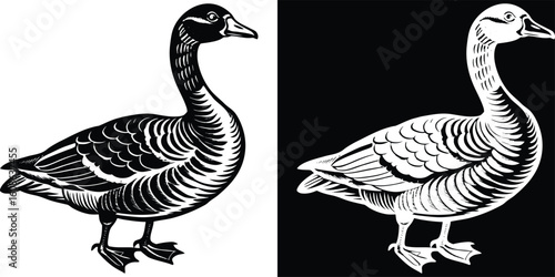 A captivating black and white illustration of a goose, showcasing detailed feathers and a dynamic pose, ideal for wildlife enthusiasts and animal art collectors.