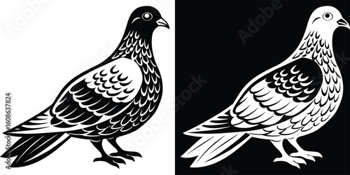 A beautiful black and white illustration of two pigeons in flight, showcasing their graceful wings and elegant movement, perfect for bird and nature art lovers.