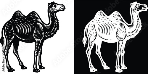 A captivating black and white illustration of two camels in a desert setting, showcasing their majestic forms and resilient features in a harsh environment.