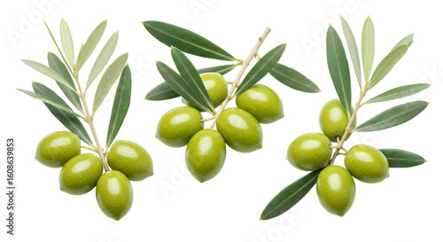 Wallpaper Mural Three green olive branches with leaves on black isolated on a transparent background olives Torontodigital.ca