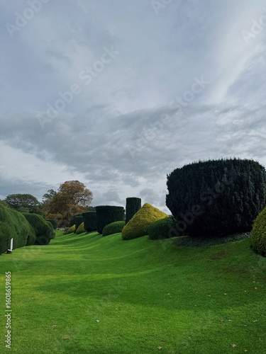 green field and blue sky