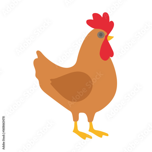 Farm Chicken Illustration Flat Design