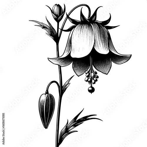 Bluebell Flower SVG | Drooping Bloom with Thin Stem