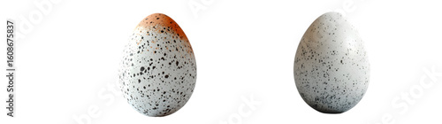 A realistic quail egg with a delicate speckled shell, organic and natural, isolated on a transparent background