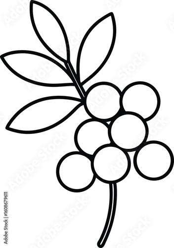 cartoon vector kawaii sea buckthorn   line art on .eps