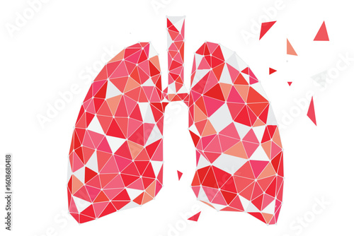 A polygonal triangle vector of human lungs in red gradient, designed with sharp geometric shapes to represent breathing, health, and anatomy in a modern visual style.

