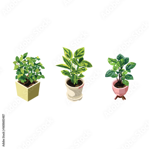 Wallpaper Mural collection of houseplants in decorative pots Torontodigital.ca