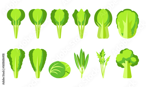 野菜