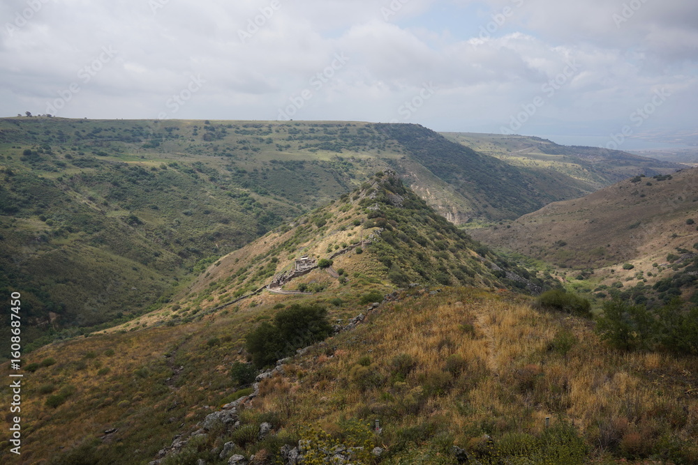 Obraz premium The ruins of Gamla city, located in the Gamla Nature Reserve, Golan Heights, northern Israel