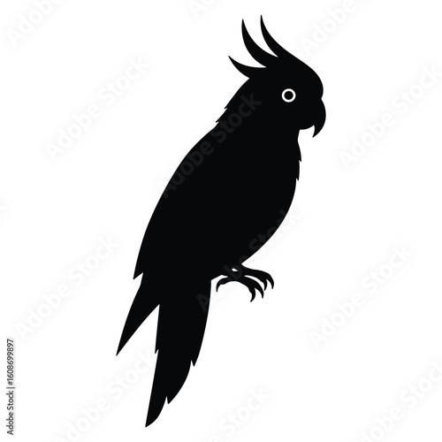 Silhouette of a cockatoo bird perched showing a unique crest and detailed features in black color