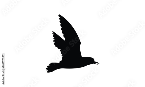 Flying American golden plover bird Silhouette Design  And Vector Illustration. 