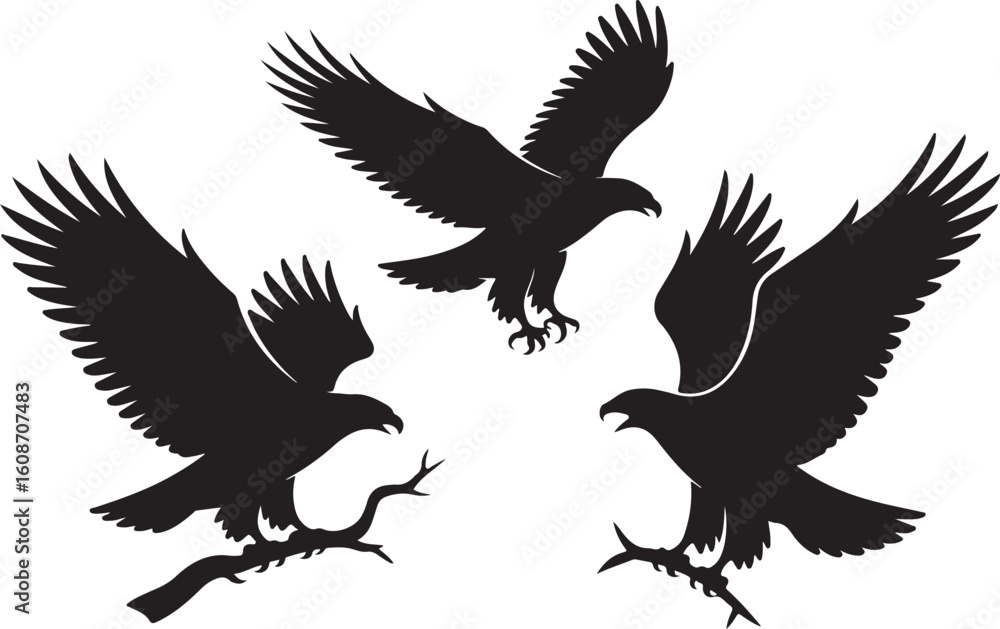 Fototapeta premium Flying Eagle Silhouette SVG Eagle Bird Cut File Bundle Hawk Eagle Vector Clipart Set