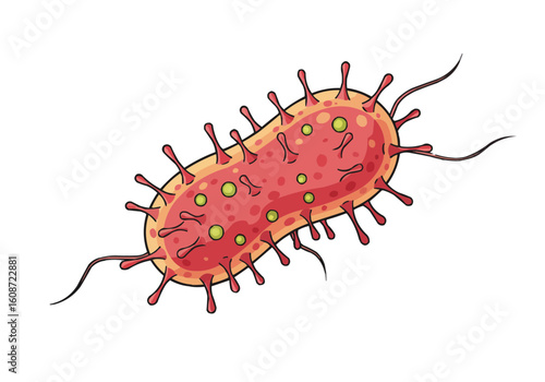 Illustration of a single celled organism with flagella and surface projections on a white background