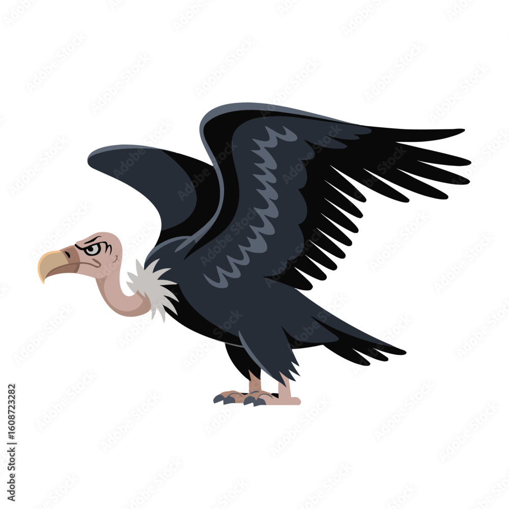 Fototapeta premium Vulture Bird, vector illustration on white background.