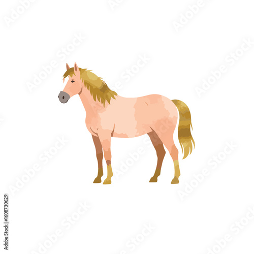 Elegant horse illustration in soft pastels on white background, beauty