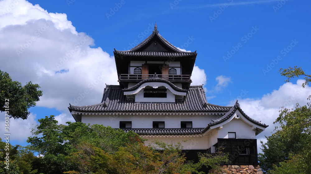犬山城(夏)9 犬山城(夏)9