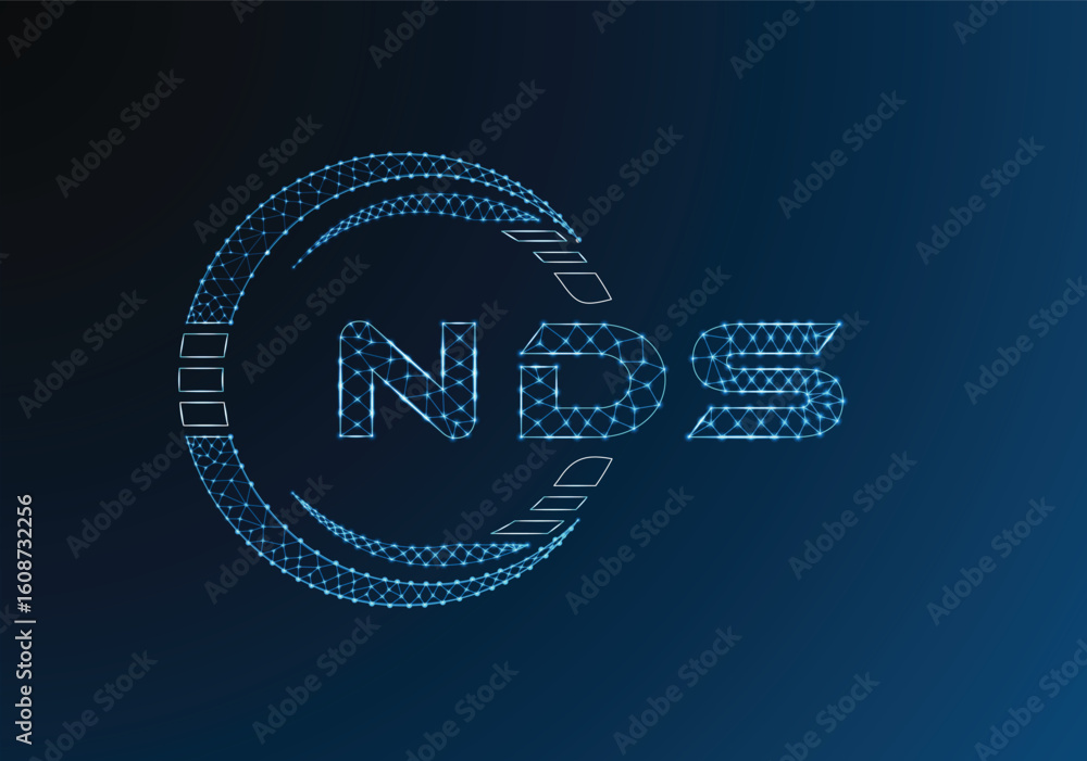 Naklejka premium NDS low poly letter logo vector design. NDS lower poly logo design. Low poly logo.