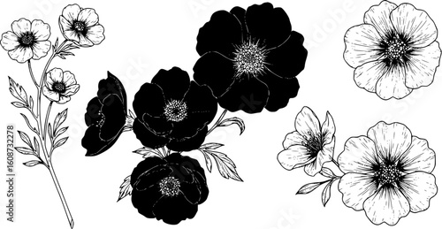 Set of  flowers with line art element design. black and white line art drawing, no color, no shading. white background