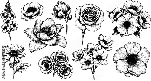 Set of  flowers with line art element design. black and white line art drawing, no color, no shading. white background