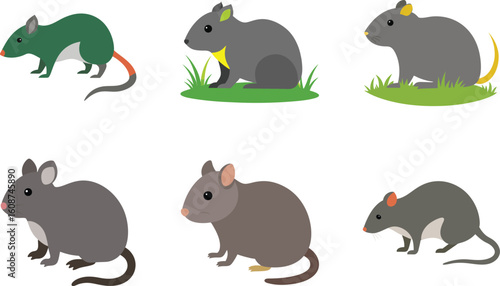 vole color vector illustration  on white background 