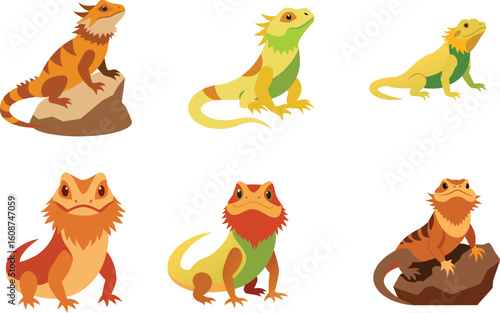 Bearded Dragon Color Vector Illustration On White Background