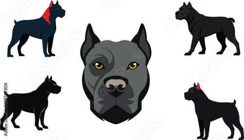 Cane Corso Color Vector Illustration