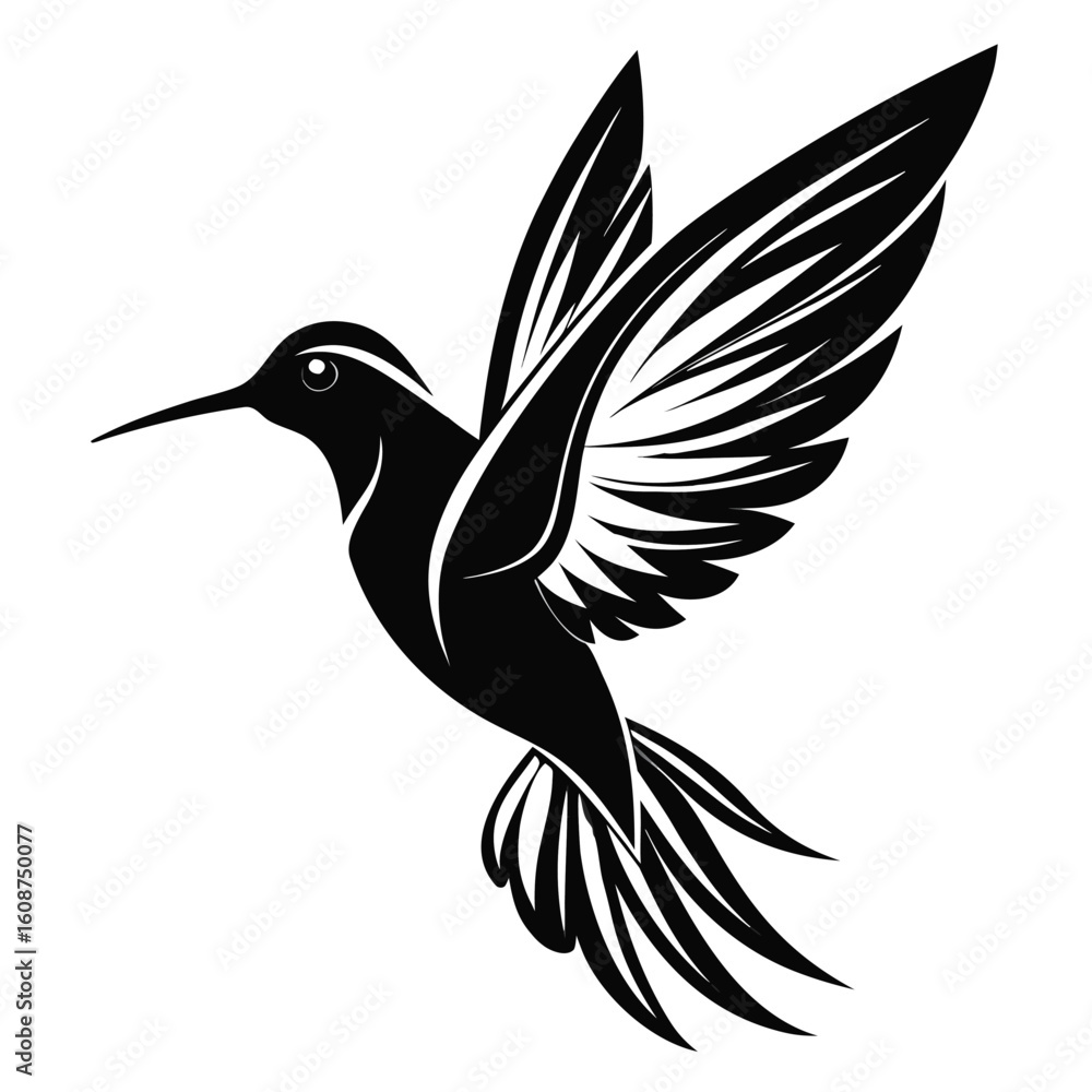 Obraz premium black and white hummingbird