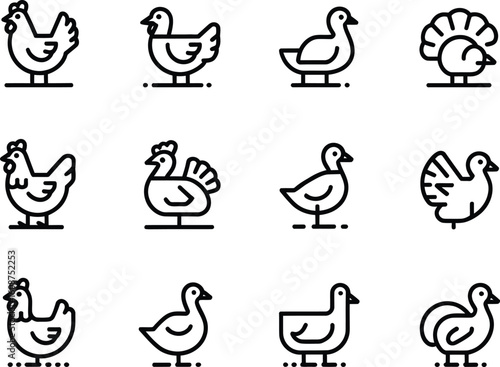 Collection of simple outline icons of farm birds