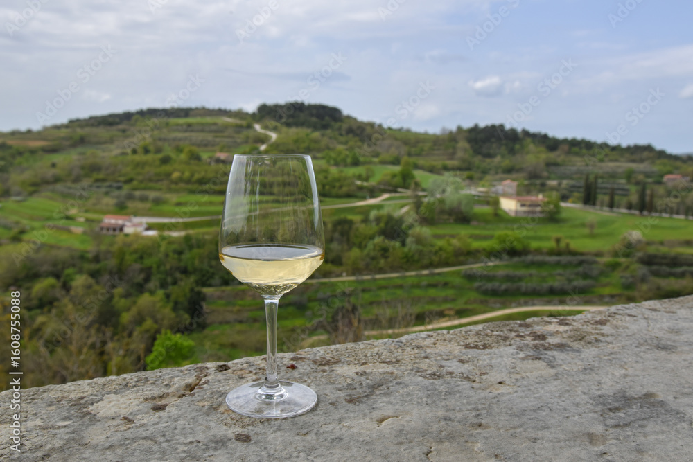 Obraz premium A glass of white wine on a stone ledge with a view of green hills, winding roads, and scattered houses in the countryside