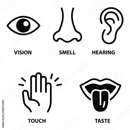 Five Senses Icon Set Vision Smell Hearing Touch and Taste with Simple Black Line Art