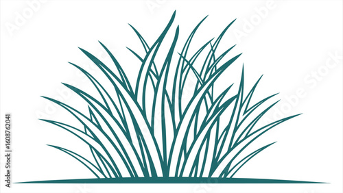 Silhouette of seagrass cluster on sandy bottom