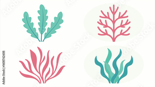 Cartoon flat icons of 4 marine plants kelp