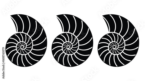 Silhouette trio of nautilus shells spaced evenly
