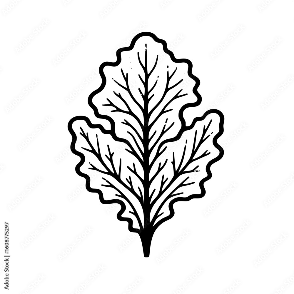 Fototapeta premium Lettuce Leaf Line Art SVG | Fresh Vegetable Icon