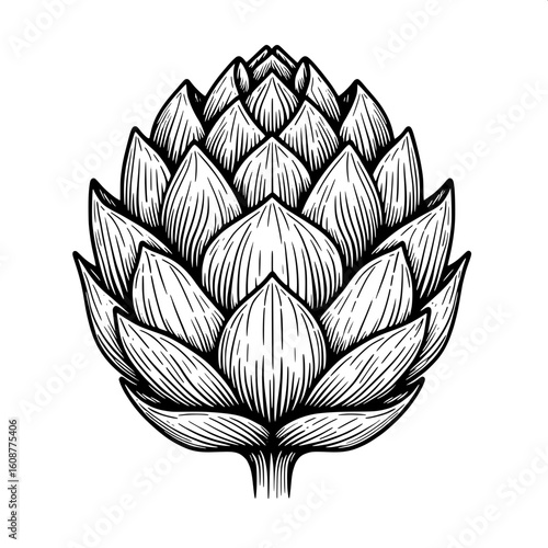 Artichoke Line Art SVG | Simple Vegetable Icon