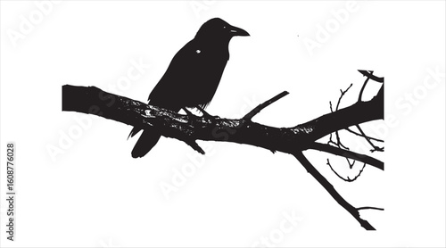 A keen-eyed crow looks over its winter territory. A dark crow with a pointed beak and smart eyes sits on a sturdy branch of a bare tree
