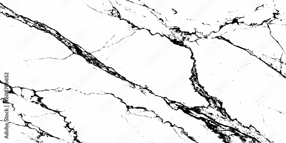 Obraz premium A high-contrast, monochromatic close-up of a natural stone surface, showcasing intricate, organic black veins sharply contrasting against a pure white background. 
