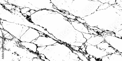 A high-contrast, monochromatic close-up of a natural stone surface, showcasing intricate, organic black veins sharply contrasting against a pure white background. 