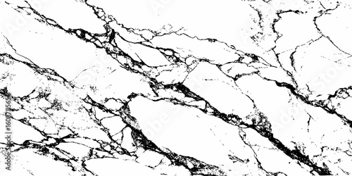 A high-contrast, monochromatic close-up of a natural stone surface, showcasing intricate, organic black veins sharply contrasting against a pure white background. 