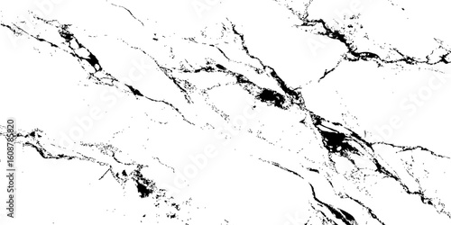 Create a high-resolution, seamless white marble texture with intricate black veining patterns. The design should evoke elegance and natural stone aesthetics,