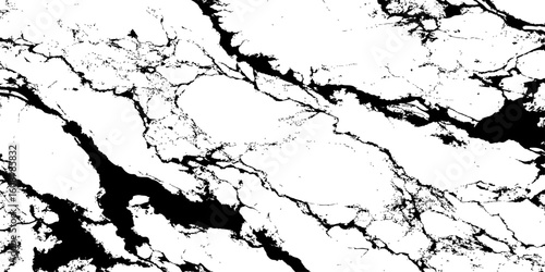 A high-contrast, monochromatic close-up of a natural stone surface, showcasing intricate, organic black veins sharply contrasting against a pure white background. 