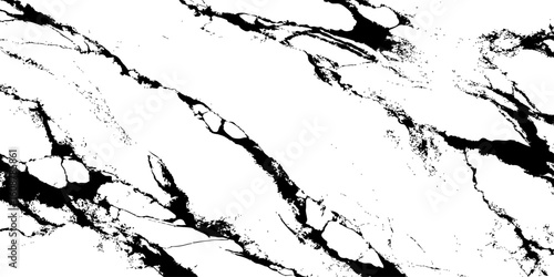 A high-contrast, monochromatic close-up of a natural stone surface, showcasing intricate, organic black veins sharply contrasting against a pure white background. 
