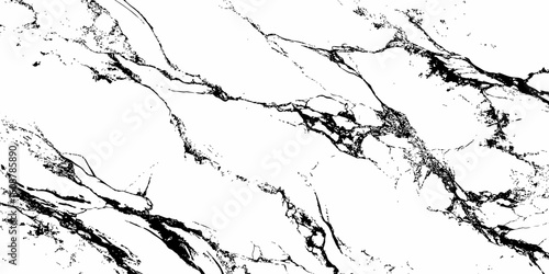 A high-contrast, monochromatic close-up of a natural stone surface, showcasing intricate, organic black veins sharply contrasting against a pure white background. 