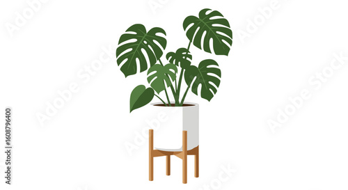 Monstera deliciosa in modern planter on wooden stand