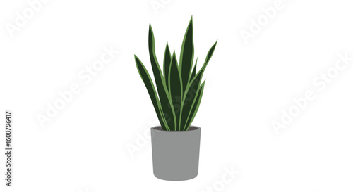Modern minimalistic indoor plant in gray pot - elegant home decor