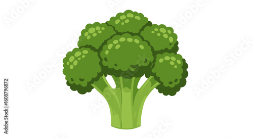 Fresh green broccoli in cartoon style on white background