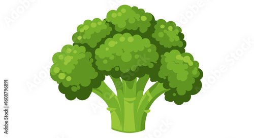 Fresh broccoli floret graphic against white background in flat style